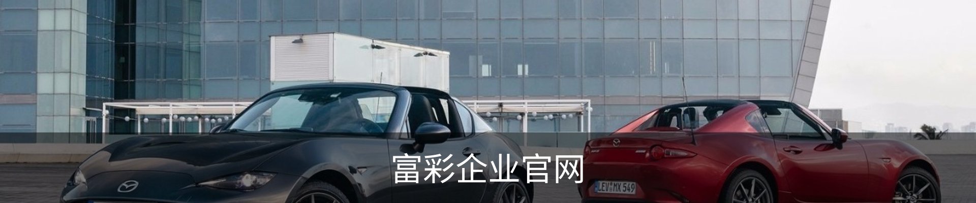 富彩企业官网
